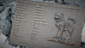 Plakett med navn som "Orange Bastard" og Girl, til minne om sledehundene som har tjenestegjort i Antarktis med relieff oav en sledehund.