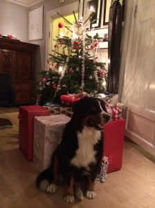 20131224_160736302_iOS