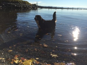 20151018_091835077_iOS