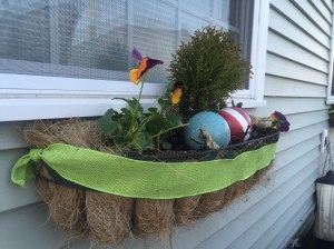 Blomsterkasse med  stemorsblomster.