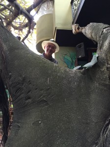 Mann Iker over en grein på et digert tre.