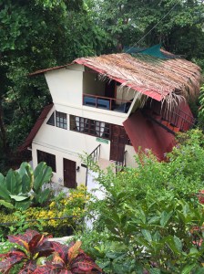 Hotellrom omgitt av trær.