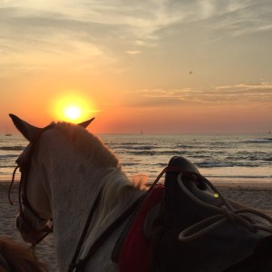 Om kvelden kan du ri på stranda i solnedgangen.
