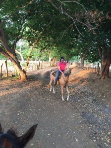 Rytter på beige hest.