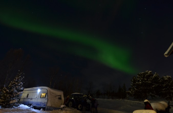 20190221_194026900_iOS